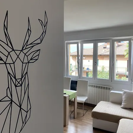 Orman Evi Yuki Dervio